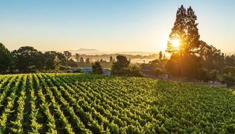 /img/offers/2580/DuMOL card2.jpg